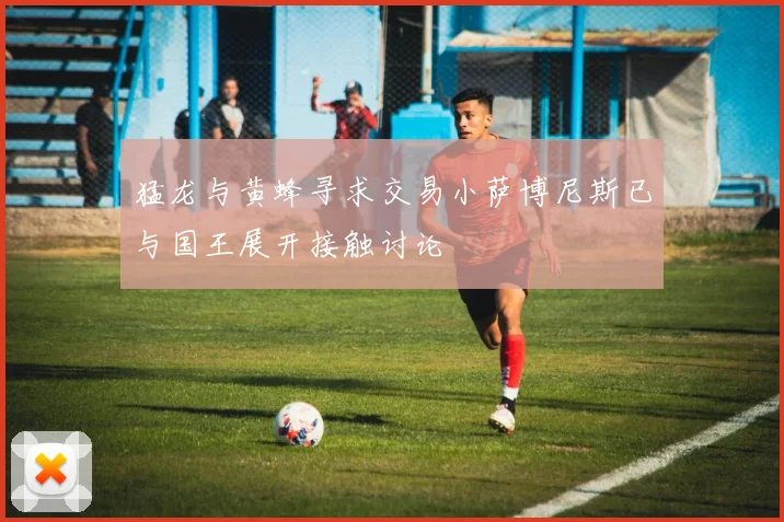 猛龙与黄蜂寻求交易小萨博尼斯已与国王展开接触讨论